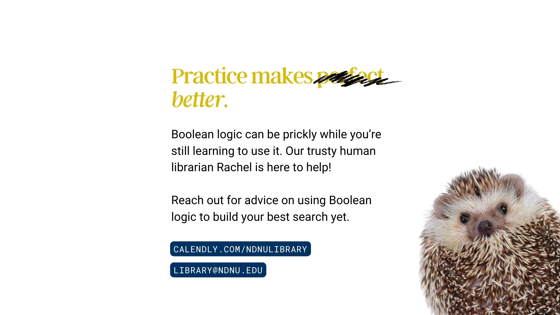 Reach out to library@ndnu.edu for advice and more tips