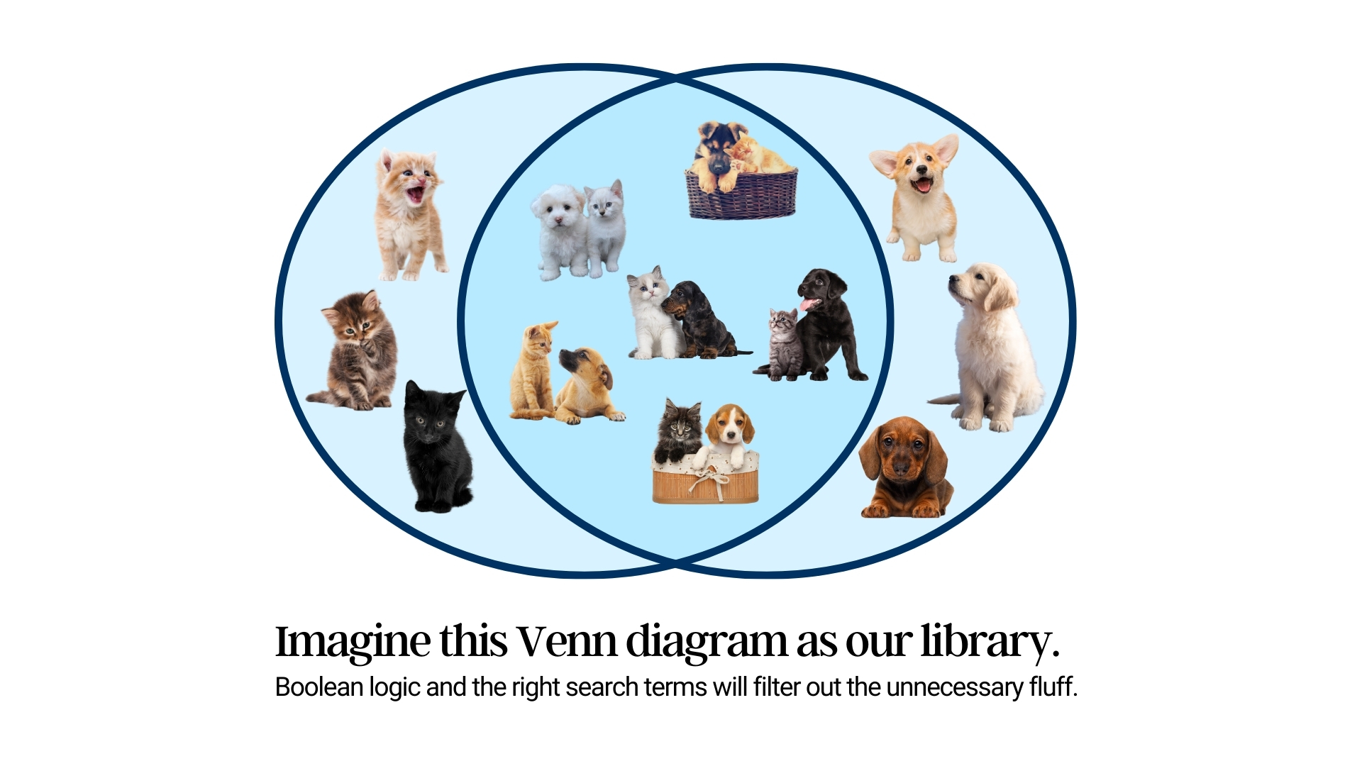 Imagine this Venn diagram as our library
