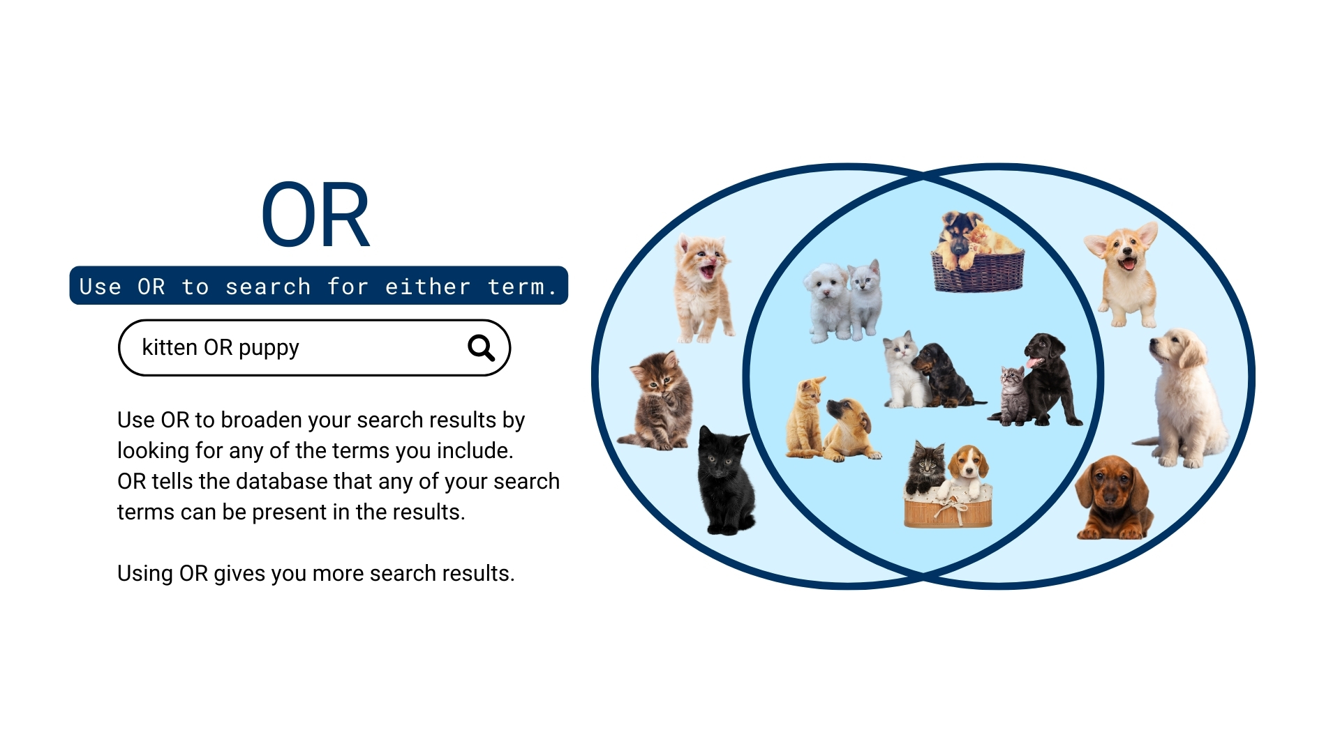 Using OR gives you more search results