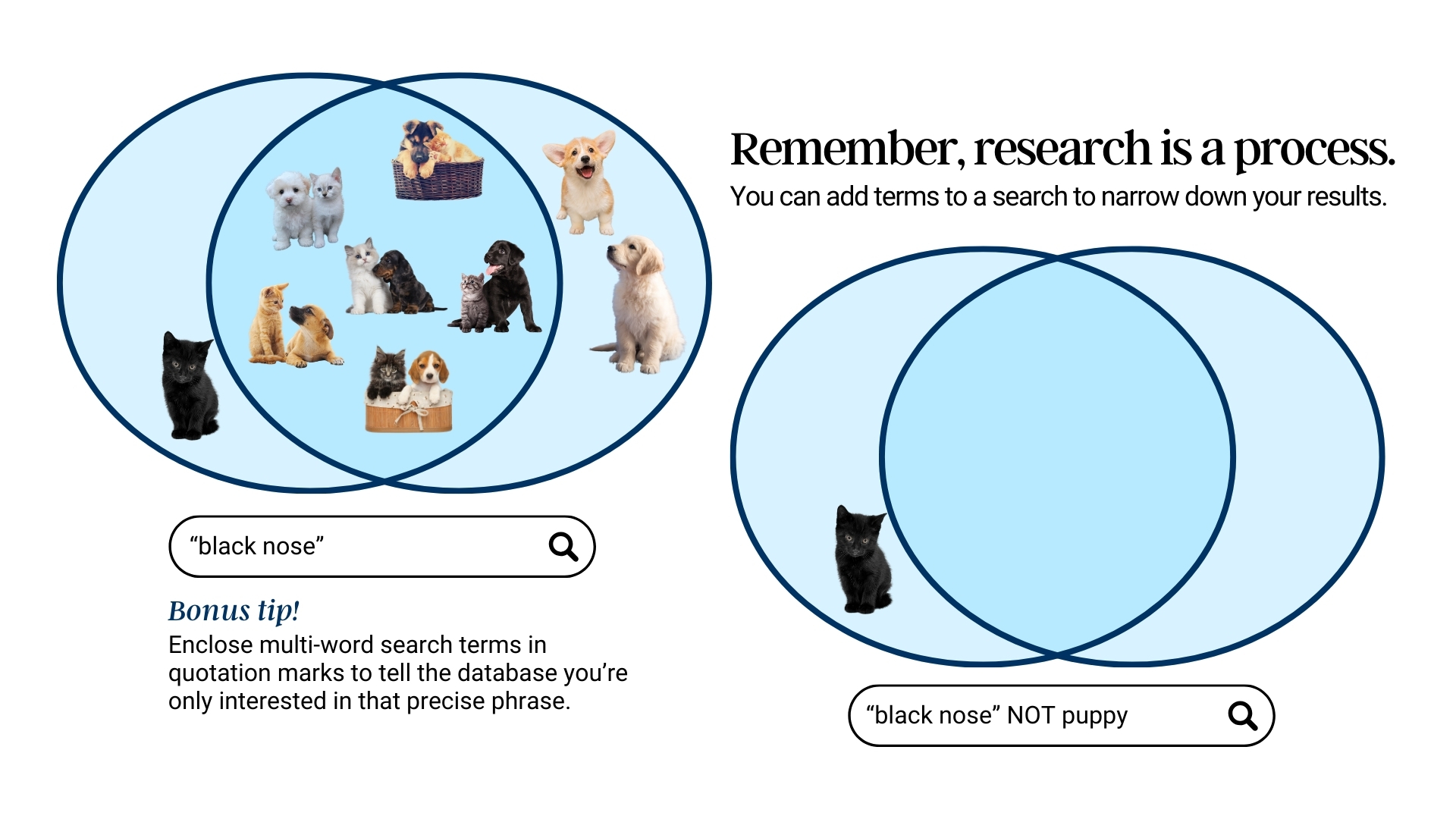Add more terms to an existing search to narrow down your results