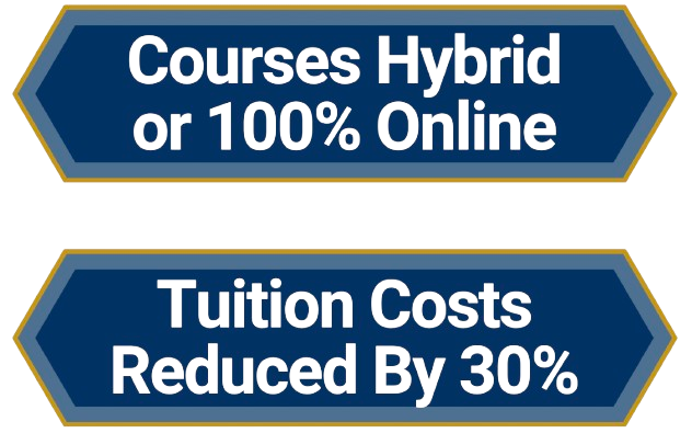 100% online 30% off tuition